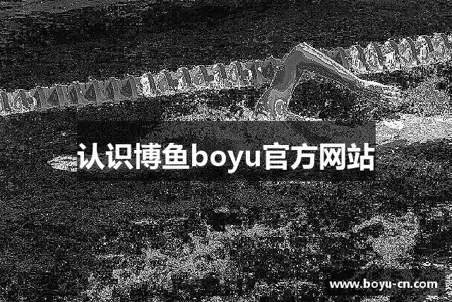 认识博鱼boyu官方网站